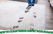 bleach to water ratio for cleaning carpet, how to clean carpet with bleach, how to clean white carpet with baking soda, how to clean white carpet stains, can you bleach carpet to change the color, can i use bleach in my bissell carpet cleaner, using color safe bleach in carpet cleaner, what happens if you bleach carpet, how to clean white carpet with bleach, how to clean a white rug with bleach, how to bleach white carpet, can i use bleach on carpet,