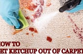 how to get ketchup out of carpet, how to get tomato sauce out of carpet, how to get tomato sauce out of carpet uk, how to get catsup out of carpet, how to get dried ketchup out of carpet, how to get tomato ketchup out of carpet, how to get ketchup out of white carpet, how to get ketchup and mustard out of carpet, how to get old tomato sauce out of carpet, how to get tomato sauce out of white carpet,