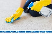 how to remove really old carpet stains without vinegar, how to get old stains out of carpet home remedies, how to get old stains out of carpet with baking soda, best carpet stain remover for old stains, how to remove old stains from carpet with hydrogen peroxide, vinegar and baking soda stain remover carpet, how to remove high traffic stains from carpet, how to get old dirt stains out of carpet, how to remove old stains from carpet with vinegar and baking soda, how to remove old stains from carpet with vinegar, does vinegar remove old stains from carpet, how to remove vinegar stain from carpet, does vinegar remove carpet stains,