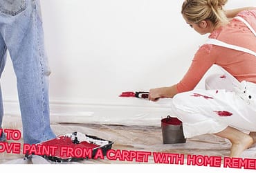 remove dried paint from carpet, how to remove dried water-based paint from carpet, how to get emulsion paint out of carpet, best paint remover for carpet, mineral spirits to remove paint from carpet, how to get dried gloss paint out of carpet, how to get paint out of carpet tiktok, how to get kids paint out of carpet, how to remove paint from carpet home remedies, how to remove dry paint from carpet home remedies, how to remove dried paint from carpet home remedies,