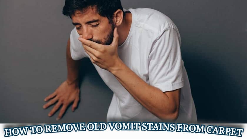 how do you get old vomit stain out of carpet, how to get old vomit stain out of carpet, how to get old cat vomit stain out of carpet, how to get old dog vomit stain out of carpet, how to get old pet vomit stains out of carpet, how to clean old vomit stains out of carpet, how to get puke stain out of carpet, how to remove old vomit stains from carpet, how to remove dried vomit stains from carpet, how to remove vomit stains on carpet, how to get puke stain out of carpet,
