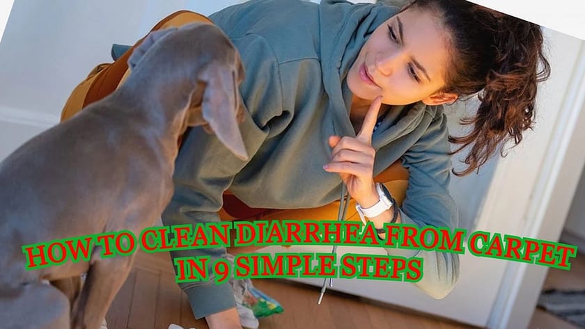 how to get diarrhea out of carpet without vinegar, how to get dog diarrhea stains out of carpet, how to get cat diarrhea out of carpet, dog diarrhea on carpet, how to get dog poop out of carpet with baking soda, how to get baby poop out of carpet, how to clean dog diarrhea from carpet with vinegar, how to clean dog diarrhea off white carpet, how to clean diarrhea from carpet, how to remove diarrhea from carpet, how to clean diarrhea from rug, how to clean up diarrhea from carpet, how to clean cat diarrhea from carpet, how to clean human diarrhea from carpet, how to clean baby diarrhea from carpet, how to clean dog diarrhea from carpet reddit, how to clean diarrhea stain from carpet,