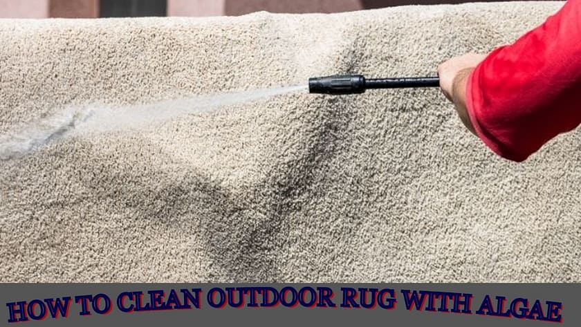 how to clean outdoor rug with mildew, how to clean outdoor rug with algae, how to clean outdoor rug with baking soda, how to clean outdoor rug with oxiclean, how to clean an outdoor rug with mold, how to clean an outdoor rug with a pressure washer, clean outdoor rug with bleach, how do you clean outdoor rug, can you clean outdoor rugs,