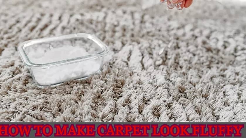 how to make carpet look fluffy again, how to make carpet look fluffy, how to make your carpet look fluffy, make carpet fluffy, how can i make my carpet soft and fluffy again, make carpet fluffy again, can you make carpets fluffy again,