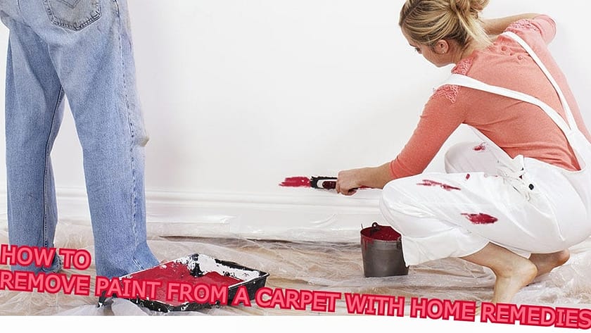 remove dried paint from carpet, how to remove dried water-based paint from carpet, how to get emulsion paint out of carpet, best paint remover for carpet, mineral spirits to remove paint from carpet, how to get dried gloss paint out of carpet, how to get paint out of carpet tiktok, how to get kids paint out of carpet, how to remove paint from carpet home remedies, how to remove dry paint from carpet home remedies, how to remove dried paint from carpet home remedies,