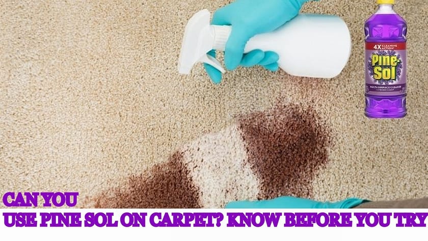 can you use pine sol on carpet, can you put pine sol on carpet, can you use pine sol on car carpet, can you use pine sol in carpet shampooer, can i put pine sol on my carpet, can you use pine sol to clean your carpets, can i use pine sol to clean carpets, can i spray pine sol on carpet, can you use pine sol on carpet, can you use pine sol in carpet shampooer, can you spray pine sol on carpet,