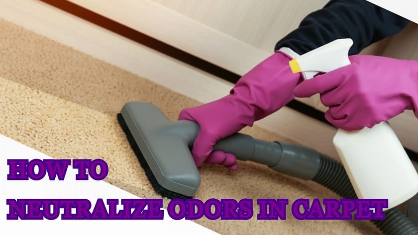 how to neutralize odors in carpet, how to remove urine smell in carpet, how to remove mildew smell in carpet, how to remove dog smell in carpet, what kills odors in carpet, what is the best way to get smells out of carpet, what absorbs odors in carpet, how do i deodorize my carpet, how to neutralize odors in carpet, how to eliminate odors in carpet, how to neutralize pet odors in carpet, how to neutralize urine odor in carpet, how to neutralize dog odor in carpet, how to neutralize pet urine odor in carpet, how to neutralize cat urine odor in carpet, how to neutralize ammonia smell in carpet, how to neutralize pee smell in carpet, how to neutralize dog smell in carpet,
