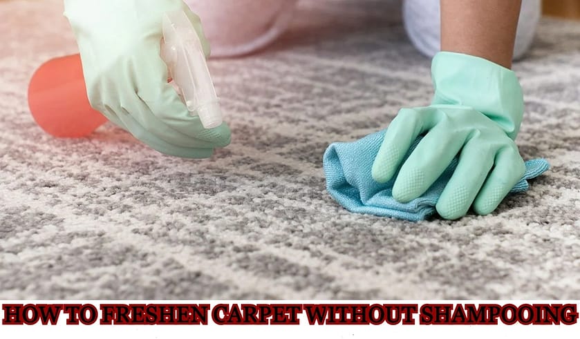 how to freshen carpet without shampooing, best way to freshen carpet without shampooing, how to clean and freshen carpet, how to get rid of smell after shampooing carpet, how to freshen carpet naturally,