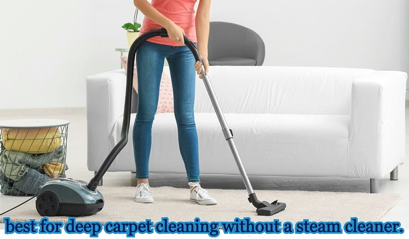best for deep carpet cleaning without a steam cleaner.