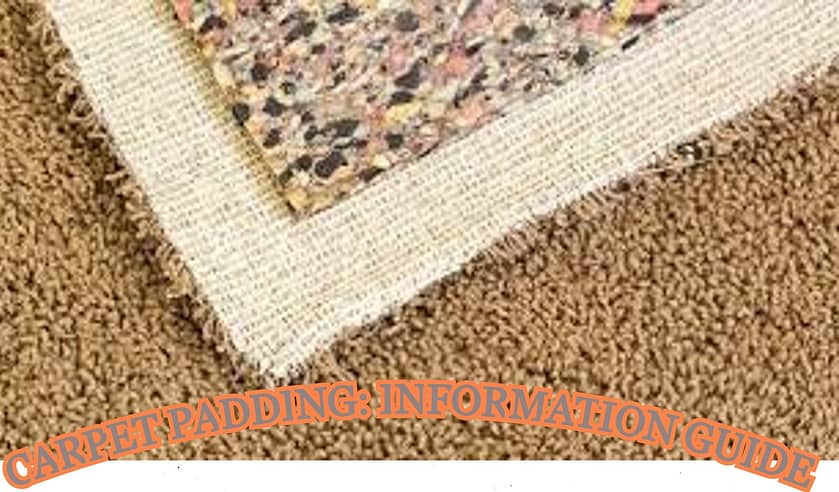 how to install carpet without a stretcher, how to install carpet on stairs, how to install carpet on concrete, how to install carpet tiles, how to install carpet runner on stairs, how to install carpet padding, how to install carpet tack strips, how to install carpet transition strip, how to install carpet yourself, how to install carpet in basement, how to install carpet start to finish, how to.install.carpet, how to quote carpet installation,